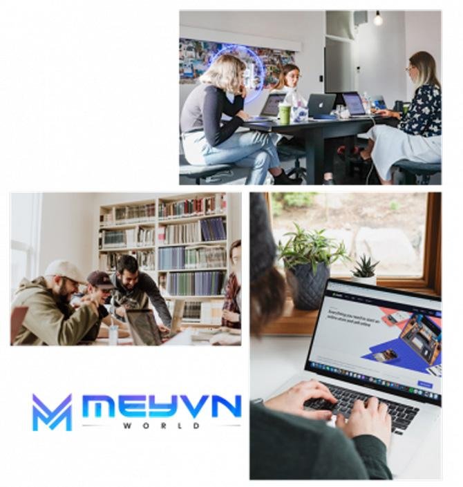 Meyvn World marketing solutions